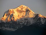 Poon Hill 10 Dhaulagiri At Sunrise